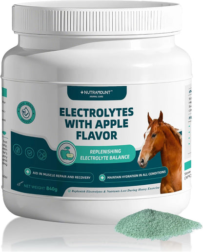 Equine Electrolytes Supplement with Apple Flavor, Replenish Lost Minerals & Support Hydration for Horses During Training, Hot Weather or Travel – 840g
