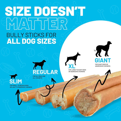 Sitka Farms Bully Sticks 6 Inch 40 Count and Pig Ears 12 Count Premium Dog Treats Bundle