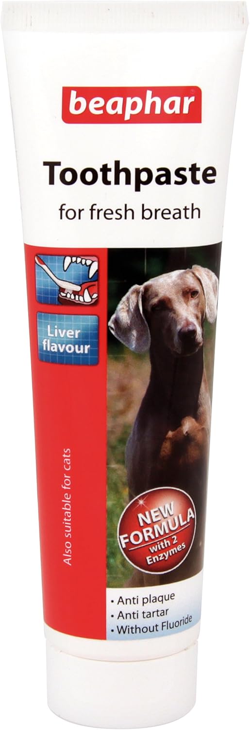 Beaphar Toothpaste of Dogs & Cats, Liver Flavour Anti-Plaque