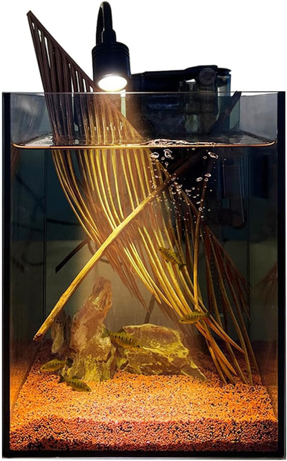 1.5Gallon Glass Aquarium Nano Small Fish Tank Start Kit with Adjustable Filter,LED Light for Small Fish,Shrimp,or Betta 22 * 16 * 16cm
