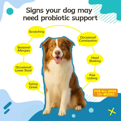 Probiotics for Dog,Support Gut Health,Probiotics for Digestive Health,Digestive Health & Seasonal Allergies-Dog Supplements,60 Soft Chews,Packaging May Vary