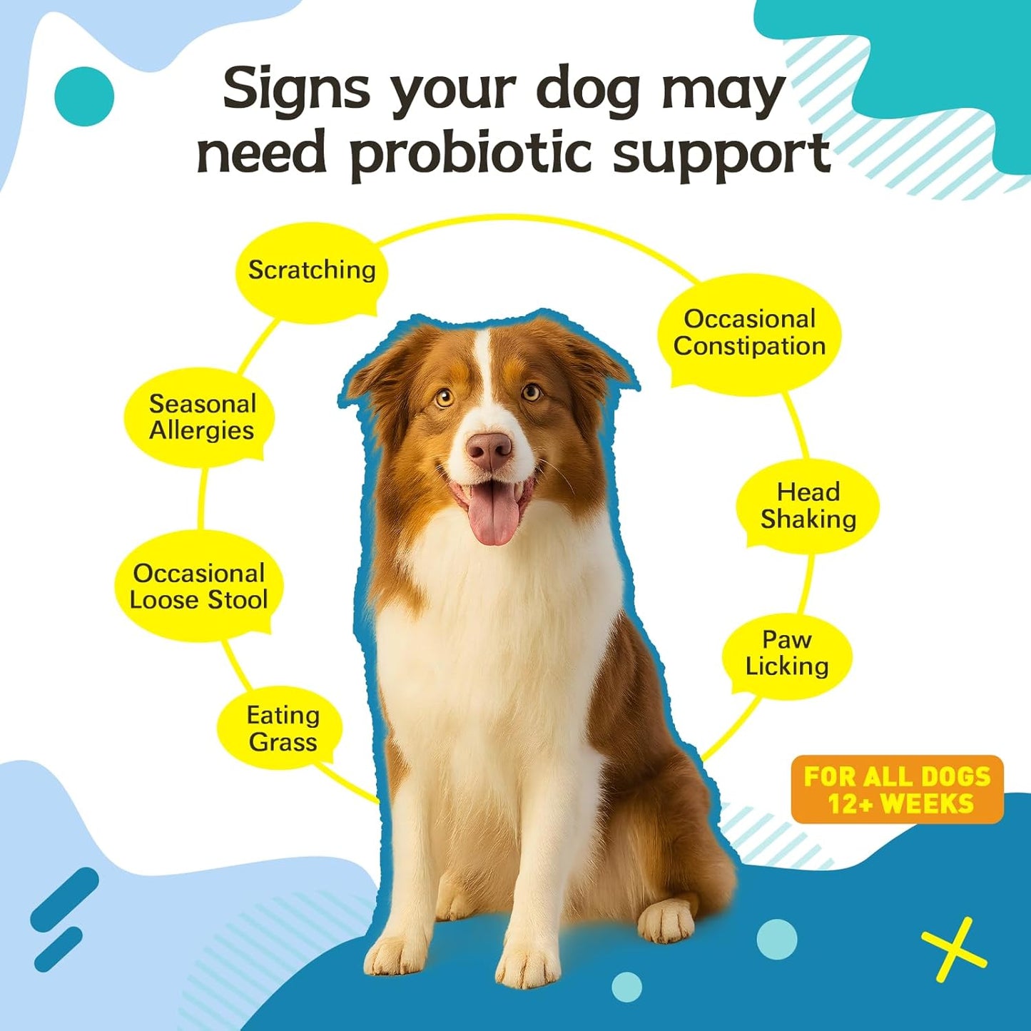 Probiotics for Dog,Support Gut Health,Probiotics for Digestive Health,Digestive Health & Seasonal Allergies-Dog Supplements,60 Soft Chews,Packaging May Vary