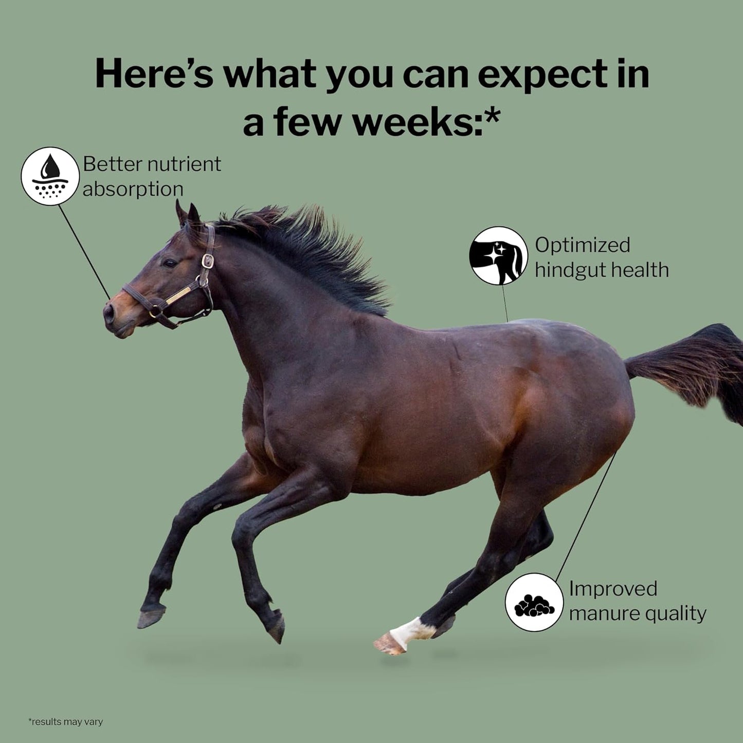 Formula 707 Digestive Health Equine Supplement, 4lb Bag – Probiotics, Prebiotics and Digestive Enzymes for Horses