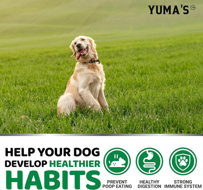 YUMA'S No Poo Chews for Dogs - 170 Count - Coprophagia No Poop Eating Deterrent for Dogs - Stop Eating Poop for Canine - Gut Health - Probiotics & Digestive Enzymes Supplement - Made in USA