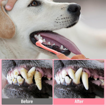 3 Pack Toothbrush for Small Dogs, Mini Pet Toothbrush for Teeth Clean, Soft Cat Tooth Brush for Puppy, Kitten, Other Small Pets(Pink, Blue, Green)