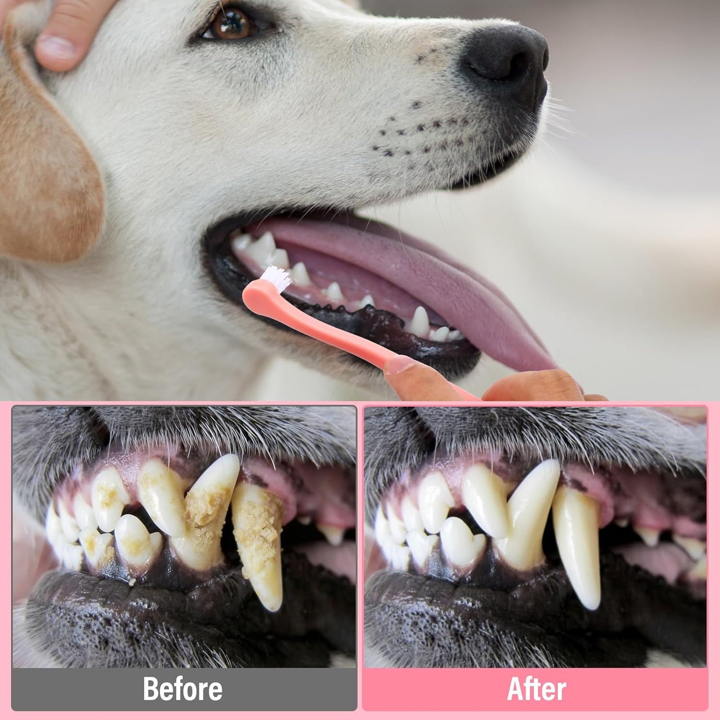 3 Pack Toothbrush for Small Dogs, Mini Pet Toothbrush for Teeth Clean, Soft Cat Tooth Brush for Puppy, Kitten, Other Small Pets(Pink, Blue, Green)