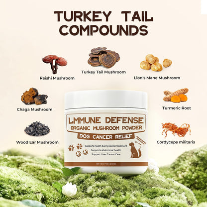 Dog Cancer Supplements, Dog Critical Guard, Defense Immune Support, Mushroom Supplement with Turkey Tail, Reishi, Lion’s Mane & Cordyceps, Immune Support Powder for Wellness & Vitality, Natural Herbal