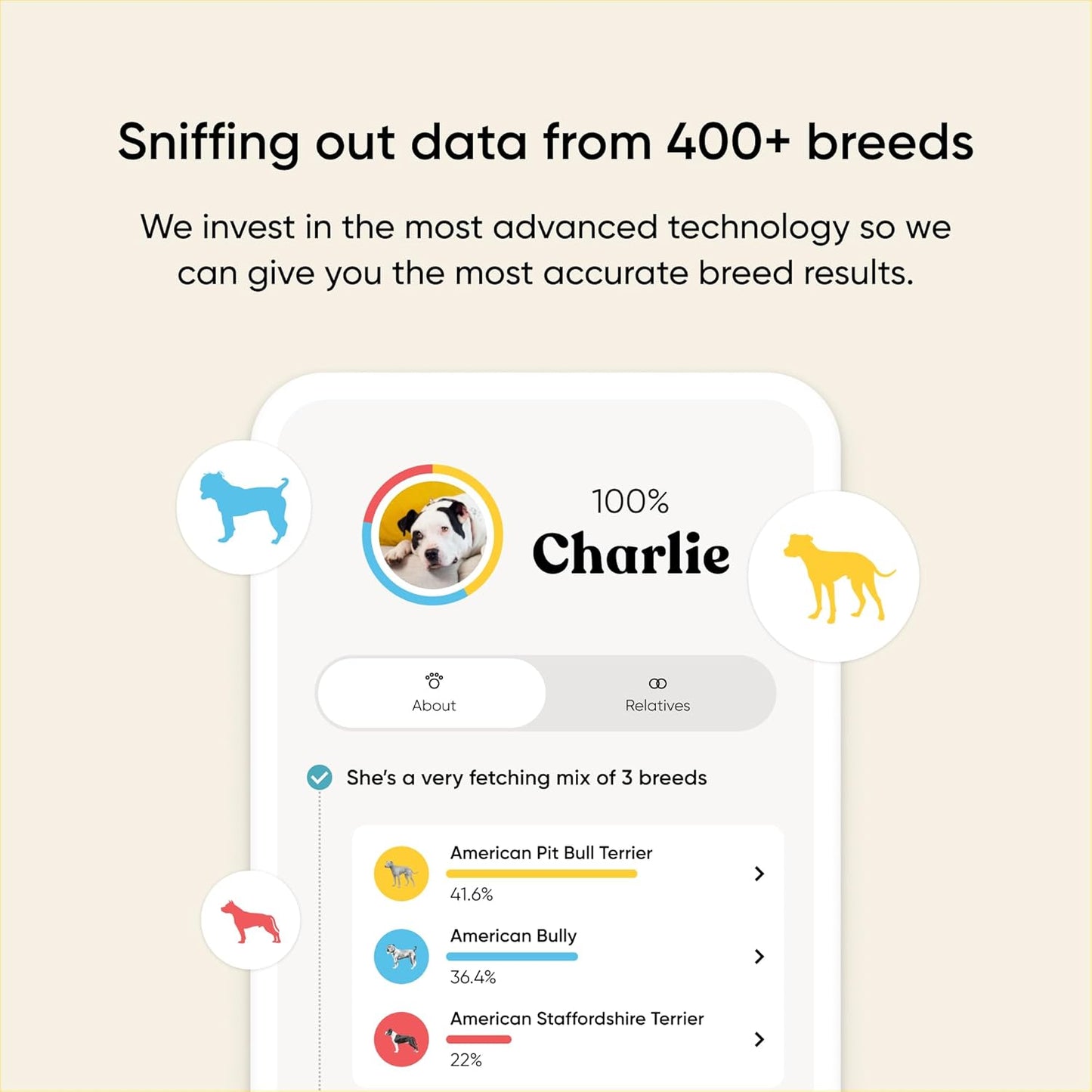 Embark Breed & Health Kit - Dog DNA Testing Kit - Discover Breed, Ancestry, Relative Finder, Genetic Health, Traits, Allergy Risk Scores