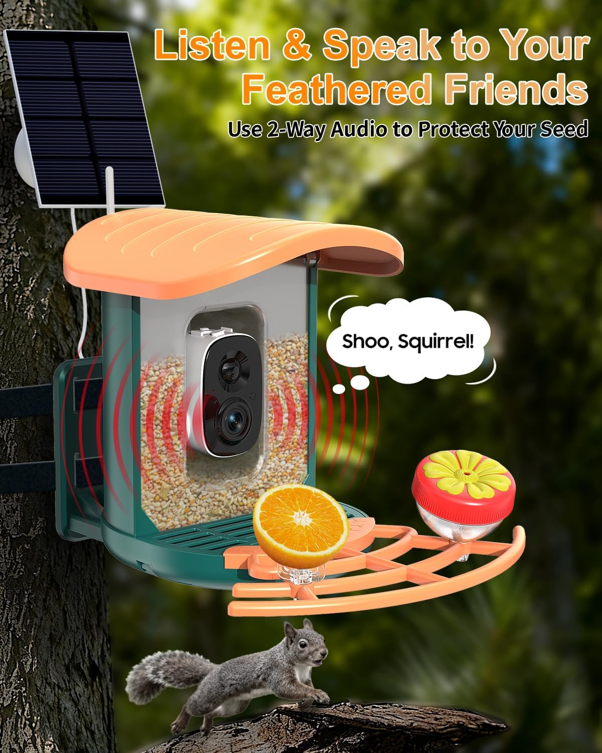 Bird Feeder with Camera, 2K HD Camera Birds Feeder with AI Bird Recognition, Solar Powered Smart Birdfeeder with App Control, Color Night Vision, Gift Box Package, Easy Install & Family Sharing