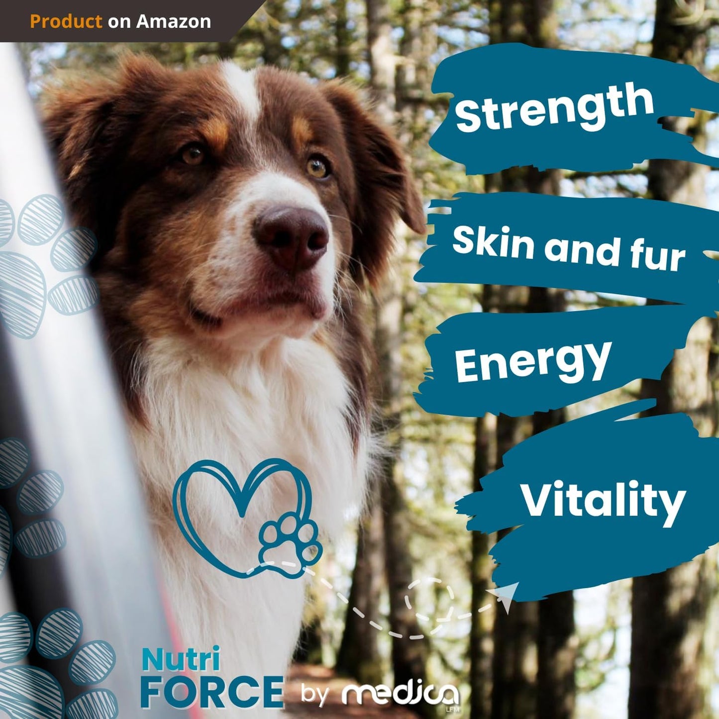 NutriForce 44-in-1 Multivitamin for Dogs – Daily Supplement for Hip & Joint, Skin & Coat, Immune, Digestion, Energy & Heart – 120 Chewable Tablets – Liver Flavor – All Breeds & Ages – Vet Recommended