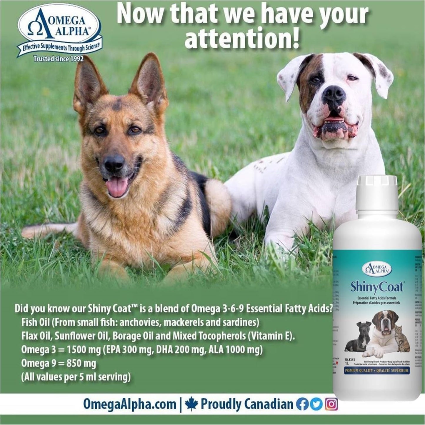 Omega Alpha Shiny Coat Equine Supplement, 1L