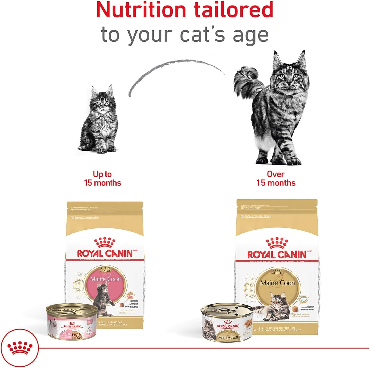 Royal Canin Feline Breed Nutrition Maine Coon Adult Dry Cat Food, 6 lb Bag