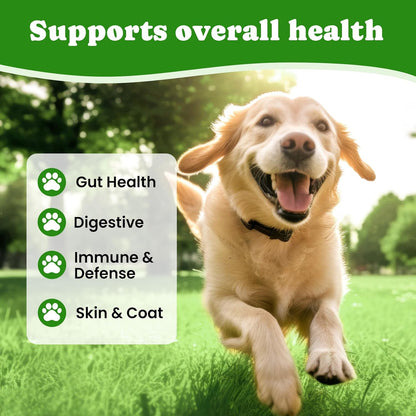 Probiotics for Dogs - Dog Probiotics Powder with 11 Strains, 4 Prebiotics & 5 Enzymes, Pet Probiotic Help Flora Balance, Digestion Health & Gut Support, Diarrhea and Yeast Infection -60 Single Packets