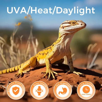 Reptile Heat Lamp 100W, 2 Pack Intense UVA Basking Light Bulbs, Flat-Base Heat Emitter, Heat Lamp Bulb for Reptile Chick