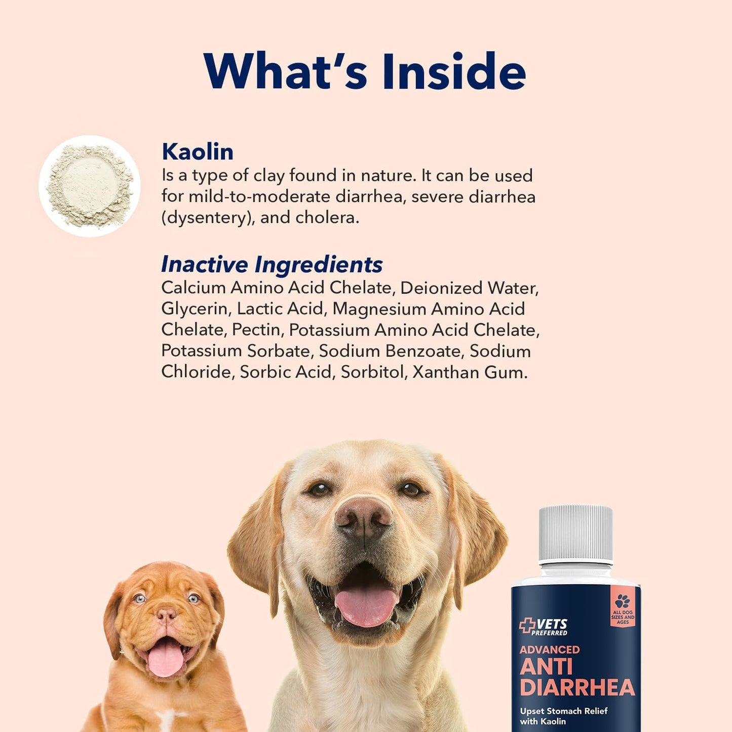 Vets Preferred Anti-Diarrhea & Gas Relief for Dogs – Kaolin Formula to Soothe Upset Stomach & Support Digestive Health – All Breed & Size Dogs – 8 fl oz Liquid – Made in USA