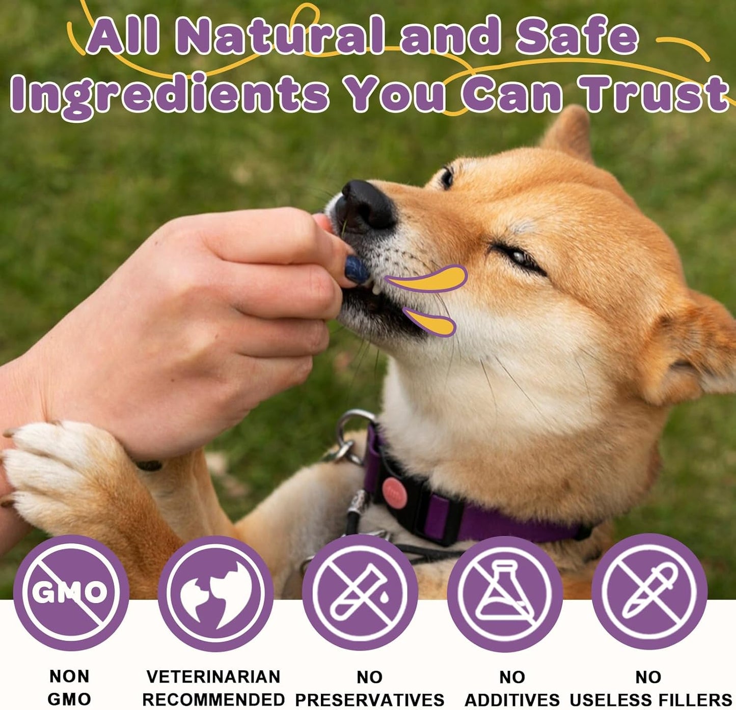 Probiotics for Dogs – 6 Billion CFUs & 10 Strains with Prebiotics, Omega-3, Digestive Enzymes & Multivitamins, Dog Probiotics for Digestive Health, Immune Support, Skin & Coat, 120 Duck Flavor Chews