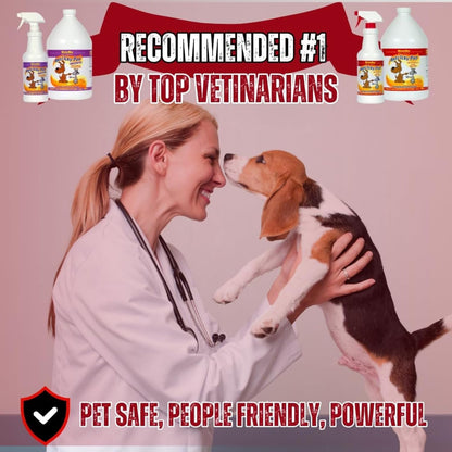 Mister Max Anti Icky Poo Pet Urine Enzyme Cleaner & Feces Odor Remover, Enzymatic Cleaner for Dog & Cat Urine, Pet Odor Remover Spray, 1 Gallon & Quart Size Original Scent