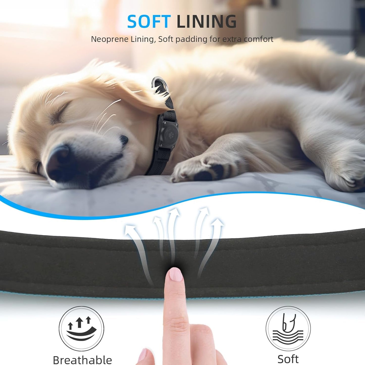 Upgraded AirTag Dog Collar, IP68 Waterproof Air Tag Dog Collar Holder, Reflective, Ultra-Durable, Comfortable Padded, Heavy Duty Dog Collars for Small Medium Large Dogs (M (12.6"-17.1"), Blue)