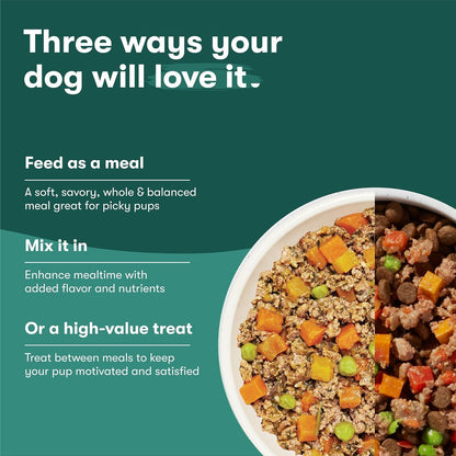 Jinx Dog Food Bundle - 4lb Salmon Dry Dog Food & 8-Pack Homemades Salmon & Chicken Wet Food Pouches (3-oz)