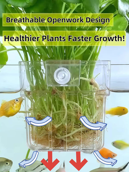 ARREBOL 2 Pack Clear Aquarium Plant Holder Top Hanging Fish Tank Plant Holders Fits up to 0.8in Tank Edges