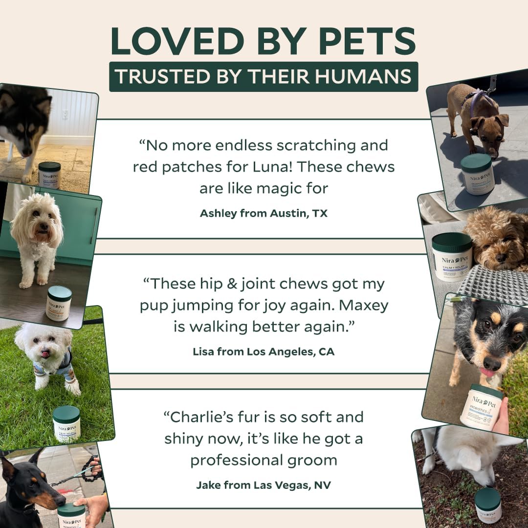 Probiotics for Dogs – 60 Beef-Flavored Chews with Postbiotics, Colostrum, Ashwagandha & Lactobacillus – Supports Gut Health, Immunity, Diarrhea, Gas & Stress