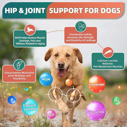 Dog Vitamins & Probiotics Supplements for Dogs