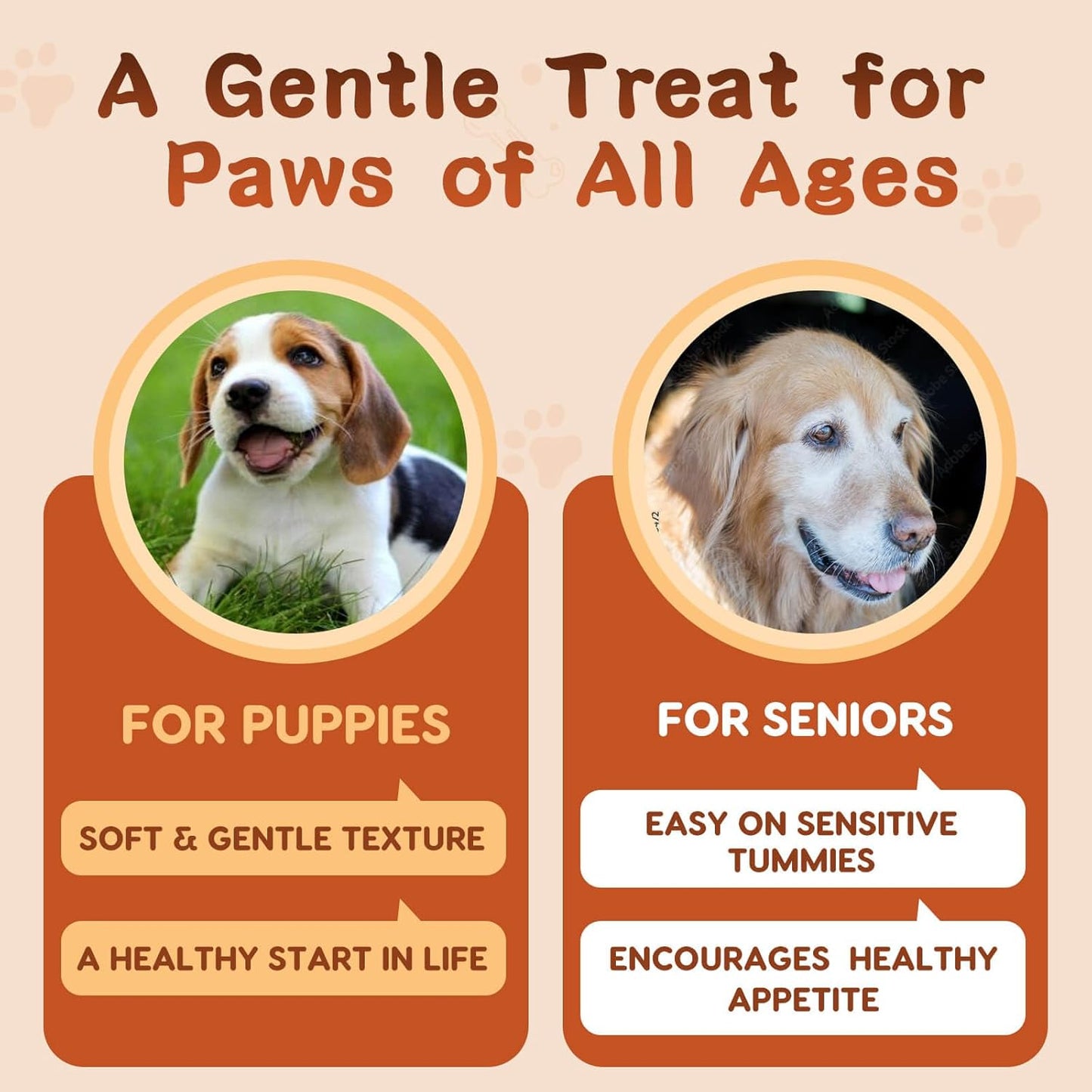 ZEBORA Probiotics for Dogs, Dog Probiotics, for Digestive Health, Plus Pumpkin and Fish Oil, for Gut & Itchy, 180 Soft Chews