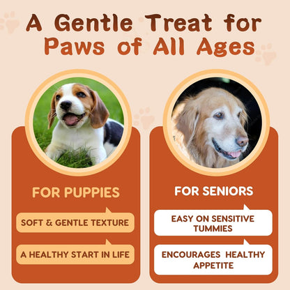 ZEBORA Probiotics for Dogs, Dog Probiotics, for Digestive Health, Plus Pumpkin and Fish Oil, for Gut & Itchy, 180 Soft Chews