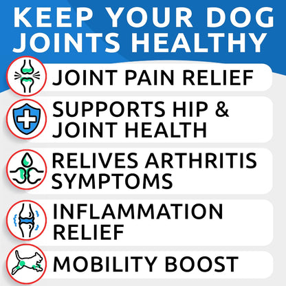 BARK&SPARK Liquid Collagen + Glucosamine for Dogs - 16 Fl Oz Easy to Serve Joint Supplement - Advanced Formula with Chondroitin, MSM, Hip & Joint + Skin & Coat Care - Made in USA