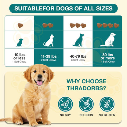 Flea and Tick Prevention for Dogs Chewables, 60 Chews, Natural Dog Flea and Tick Treatment Chewable Supplement for All Breeds & Ages, Beef Flavor