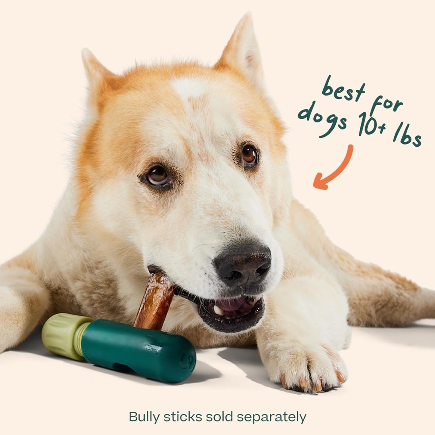 WOOF BullySafe - Bully Stick Holder - Durable Dog Chew Holder for Safe, Long-Lasting Play - Easy to Clean - No More Swallowed Ends - Best for Dogs 10+ lbs
