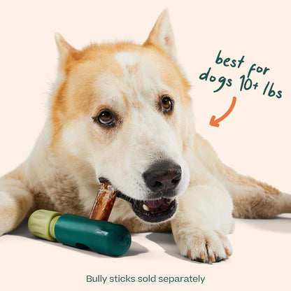 WOOF BullySafe - Bully Stick Holder - Durable Dog Chew Holder for Safe, Long-Lasting Play - Easy to Clean - No More Swallowed Ends - Best for Dogs 10+ lbs