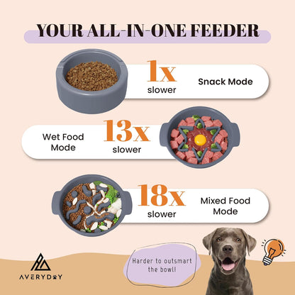 AVERYDAY Large 3-in-1 Slow Feeder Dog Bowls, Two 1.5 Cup Maze Dog Feeder Bowl Inserts, Anti-Slip Spiral Food Dish for Wet, Dry, Raw Food, Slow Down Eating Puzzle Feeding Bowl for Medium Large Dogs