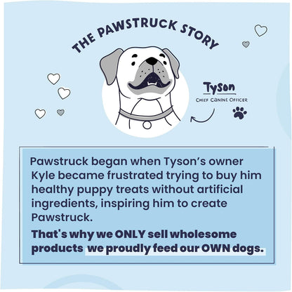 Pawstruck Natural 5-8" Bully Sticks for Dogs - Best Long-Lasting, Rawhide-Free, Low Odor Dental Chew Treat - Healthy Single Ingredient, 100% Real Beef - 8 oz Bag - Packaging May Vary