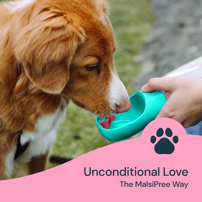 MalsiPree Portable Dog Water Bottle - 19 Oz, Blue - Leak-Proof Water Bowl Dispenser with Lock for Hiking, Travel & On-The-Go