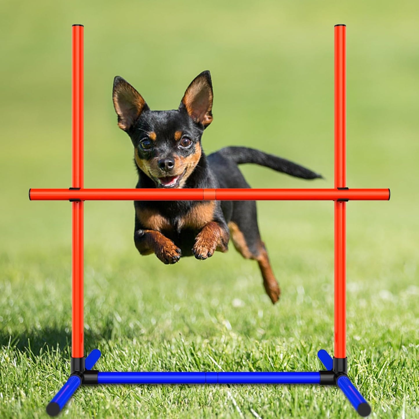 4-Set Dog Agility Training Equipment Course Backyard Set for Dogs, Dog Indoor Outdoor Backyard Agility Jumps Exercise Equipment