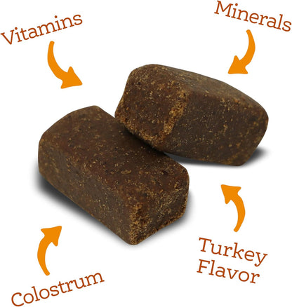 NutriSource AmpliFull Turkey Flavor Multivitamin Soft Chews for Dogs, Daily Supplement with Bovine Colostrum, Essential Vitamins & Minerals for Overall Health, 70 Chews (1 Pack)