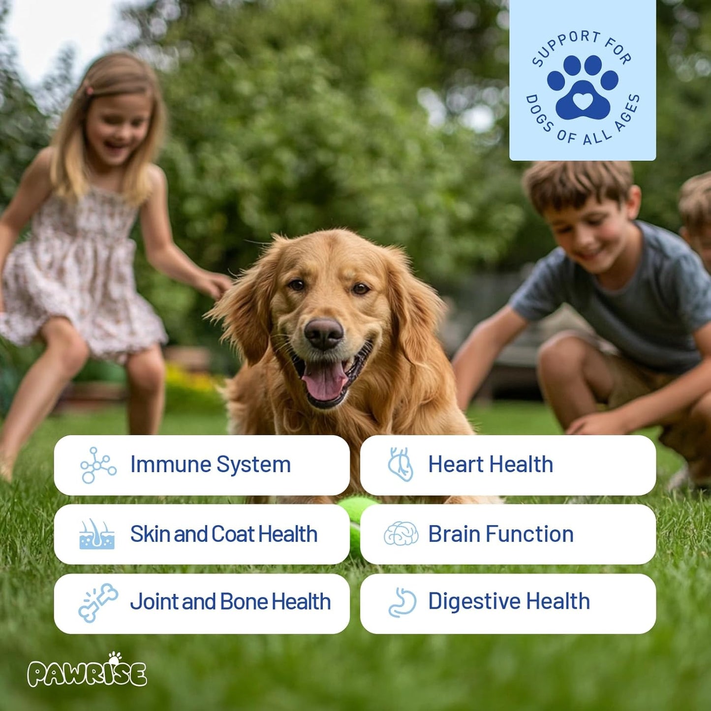 All-in-One Dog Multivitamin – Hip & Joint, Skin, Coat, Digestion & Immune Support – Soft Chews with Biotin, Glucosamine & Omega-3 – 150ct Chicken Flavor | Manufactured in USA