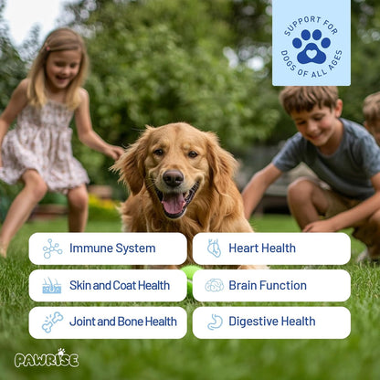 All-in-One Dog Multivitamin – Hip & Joint, Skin, Coat, Digestion & Immune Support – Soft Chews with Biotin, Glucosamine & Omega-3 – 150ct Chicken Flavor | Manufactured in USA