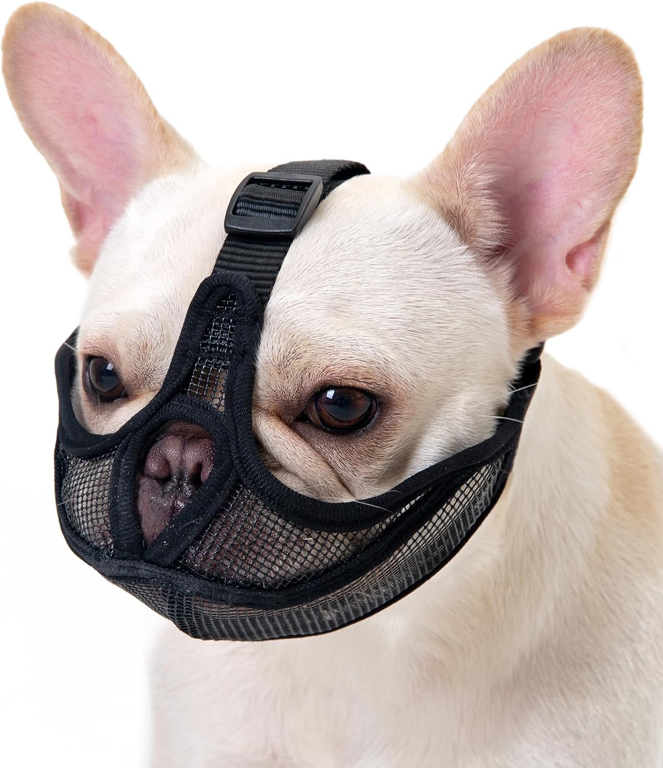 Short Snout Dog Muzzle, Won't Cover Forehead French Bulldog Muzzle, Anti-Biting Chewing Barking for English Bulldog, Pug, Pekingese(M,Black)