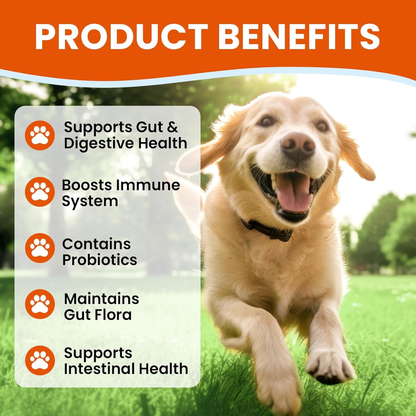 Dog Probiotics and Enzymes – Digestive & Immune Support Chews with Prebiotics for Dogs with Diarrhea or Itchy Skin