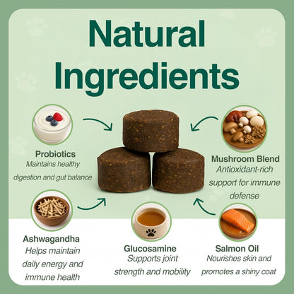 BAZI Multi Dog Chews – Comprehensive Health Supplement with Glucosamine, Probiotics, Salmon Oil, Ashwagandha & Mushrooms – Daily Well-Being, Skin & Coat, Digestion, and Vitality Support for All Dogs