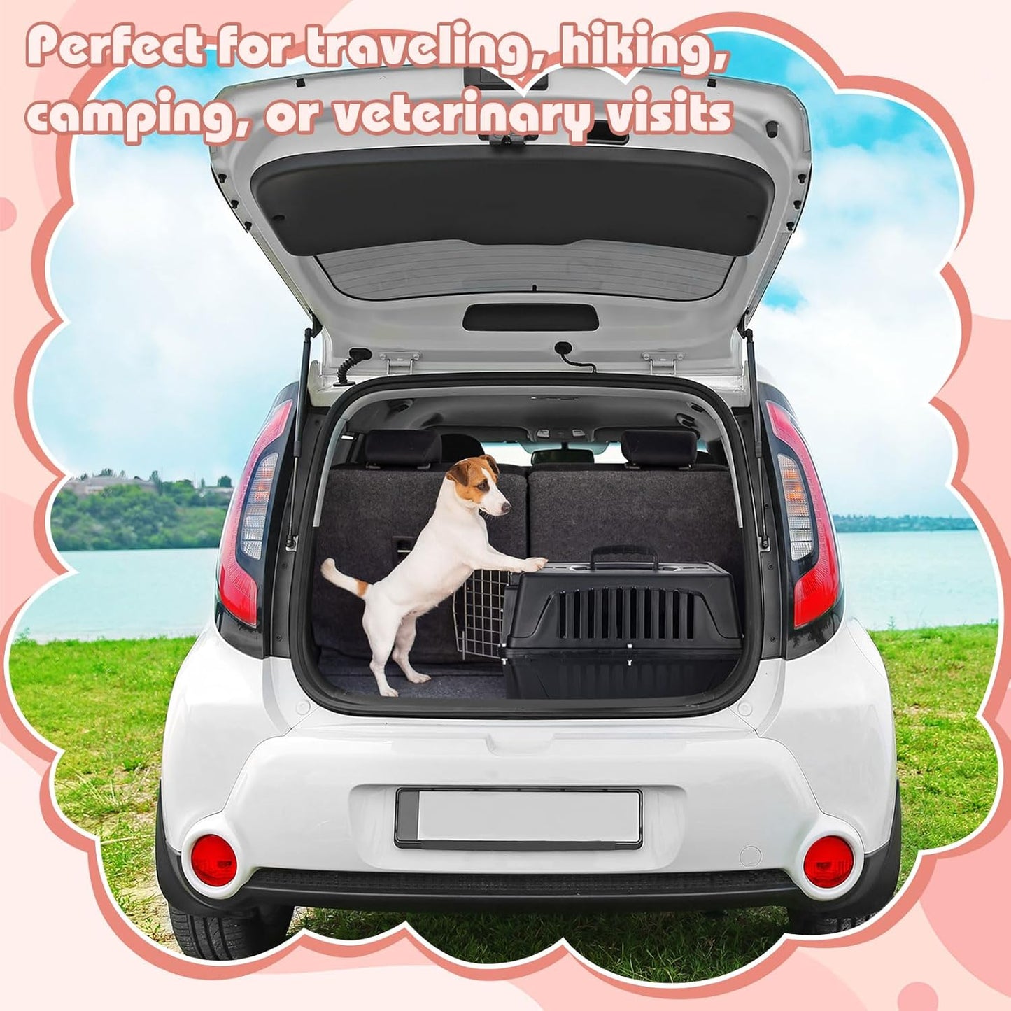 2 Set 18.9" Pet Carrier for Small Cats and Dogs, Hard Sided Plastic Cat Kennel for Pet with Front Door Security Lock Fully Breathable Travel Crate, up to 13 Lbs(Black,18.9 x 12.6 x 11.8 Inch)