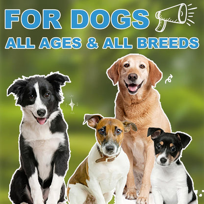 Vitamin D for Dogs, Liquid Vitamin D for Dogs, Dog Vitamins D Drops Promote Calcium Absorption, Supports Immune System Hip & Joint Health and Dog Dental Health, Dog Multivitamin Supplements