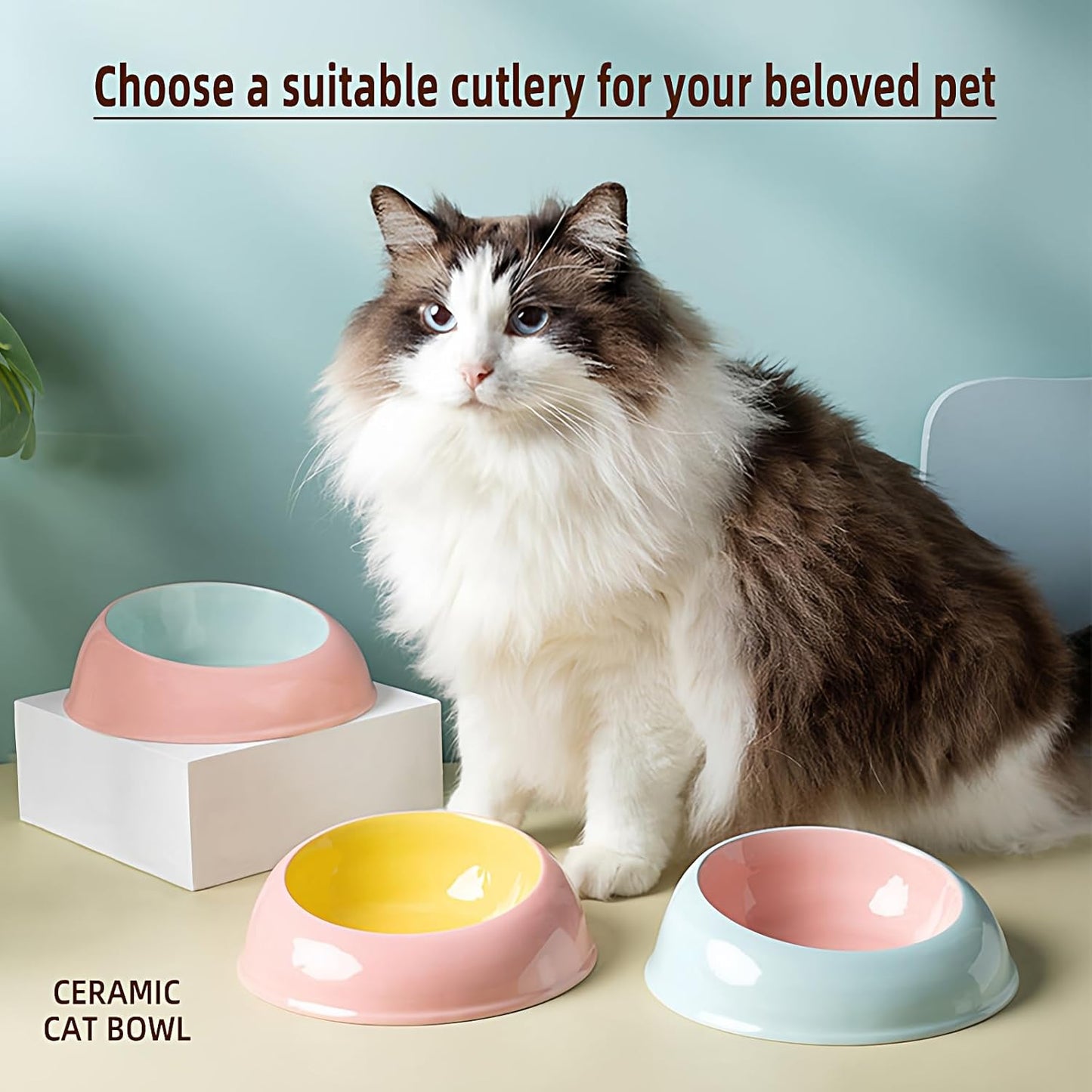 15° Inclined Cat Bowl Optimal Neck Support, Effortless Eating 6.89-Inch Wide and 2.05-Inch Tall Saucer with 7.04-Ounce Capacity Pet Bowl for Cats and Small Dogs（Pink Blue）