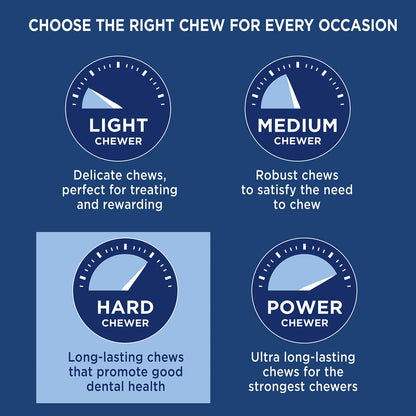 Barkworthies Large 12" Beef Collagen Sticks for Dogs - Healthy Long Lasting Bully Stick Alternative - High Protein Low Fat Dog Treats - 2 Pack