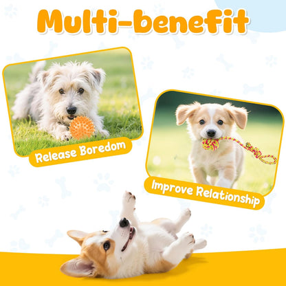 Puppy Toys for Small Dog with Rope Toys and Squeaky Ball