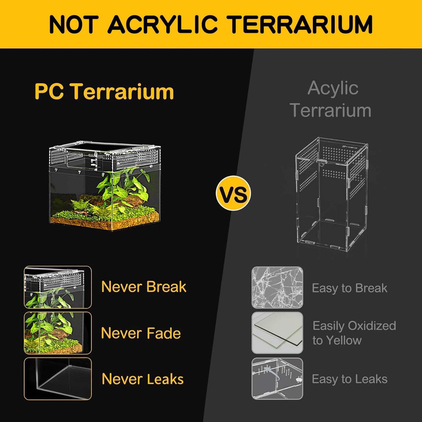 Reptile Mini PC Terrarium Amphibian Tank, 8"x8"x6"Jumping Spider Enclosure Multi-Habitat Reptile Terrarium for Tarantula, Hermit Crab, Insect, Fish, Frog, Small Bearded Dragon, Lizard