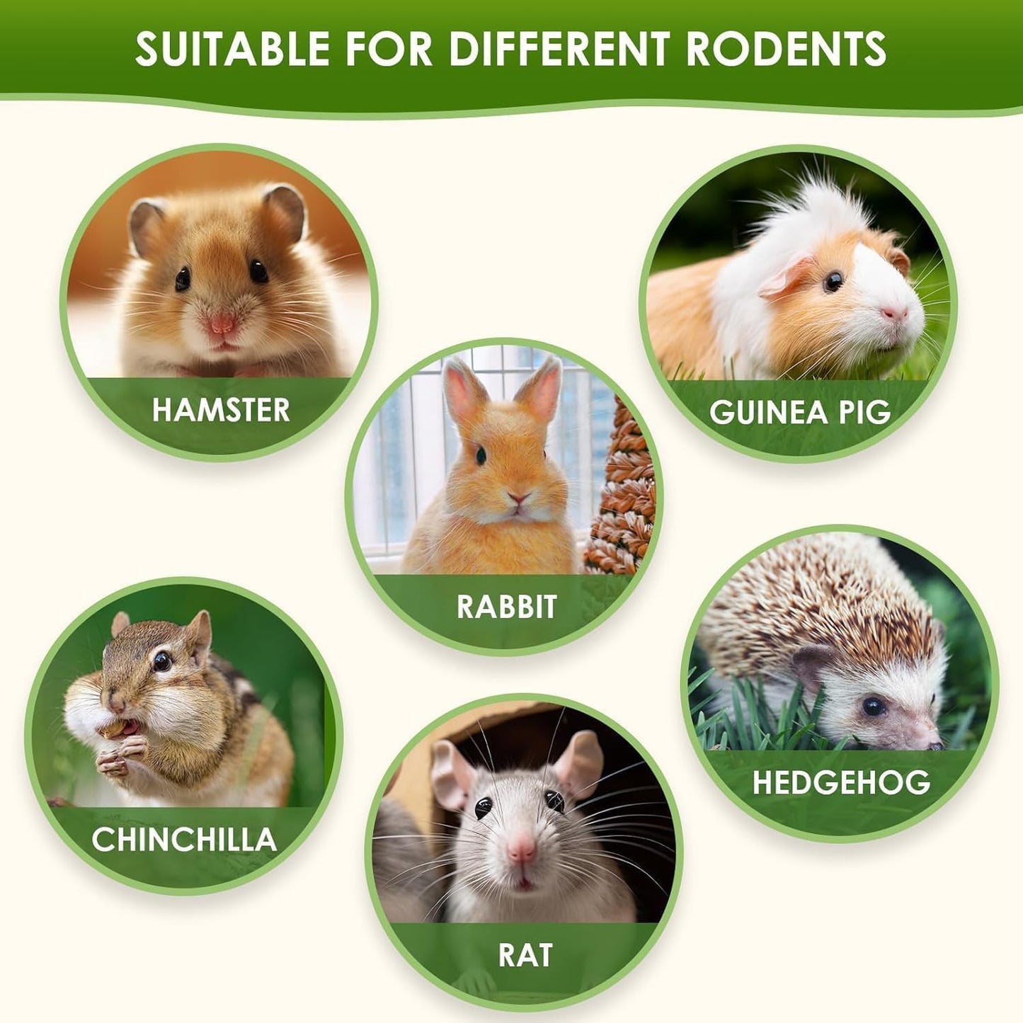 Freeze Dried Tofu for Hamsters High Protein Low Fat & Balanced Minerals Grain Single Ingredient Natural Treats for Rabbits Guinea Pigs & Small Pets (Freeze-Dried Tofu - Pumpkin)