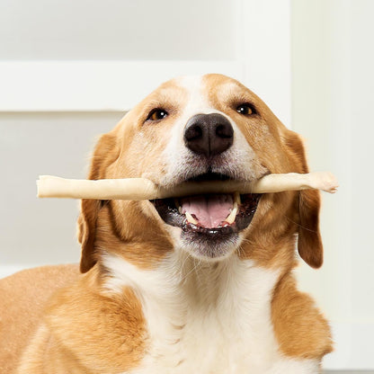 USA Beefhide Chip Rolls 10-11" Dog Chew Treats - Natural Flavor, 10 Count/2 Pack